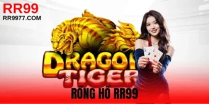 Rồng Hổ RR99 - Trò Chơi Sòng Bạc Ăn Khách Bậc Nhất